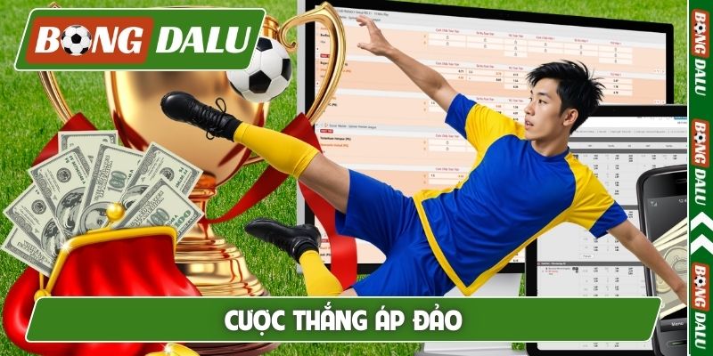 Cược thắng áp đảo