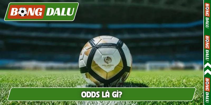 Odds là gì